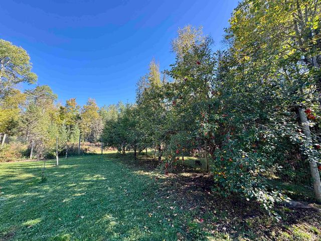 1474 Deer Lake Road, Crystal Falls, MI 49920