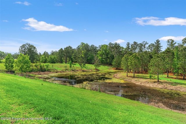 4661 Southern Valley Loop, Brooksville, FL 34601