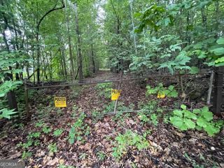 0 Joe Frank Harris Parkway, Adairsville, GA 30103