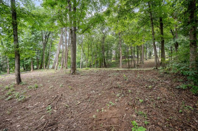 0 Indian Mound Drive, Mcminnville, TN 37110