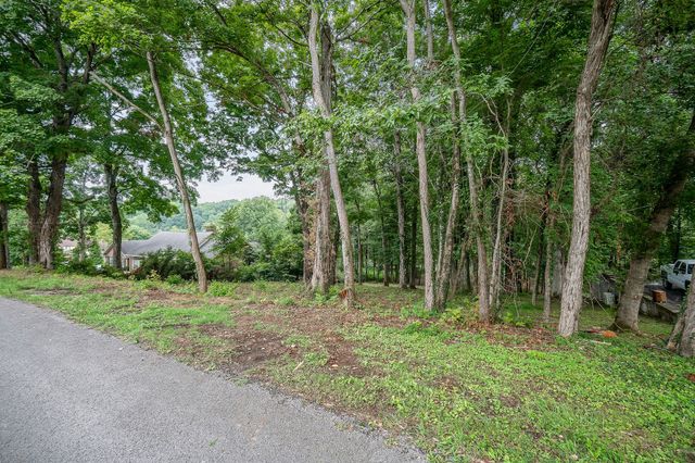 0 Indian Mound Drive, Mcminnville, TN 37110
