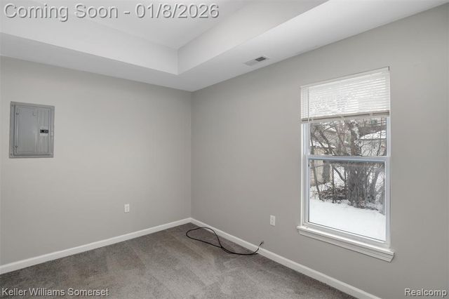 1119 Custer Street, Detroit, MI 48211