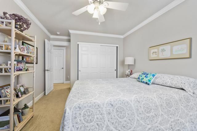 3625 Filly Lane, Bonita, CA 91902