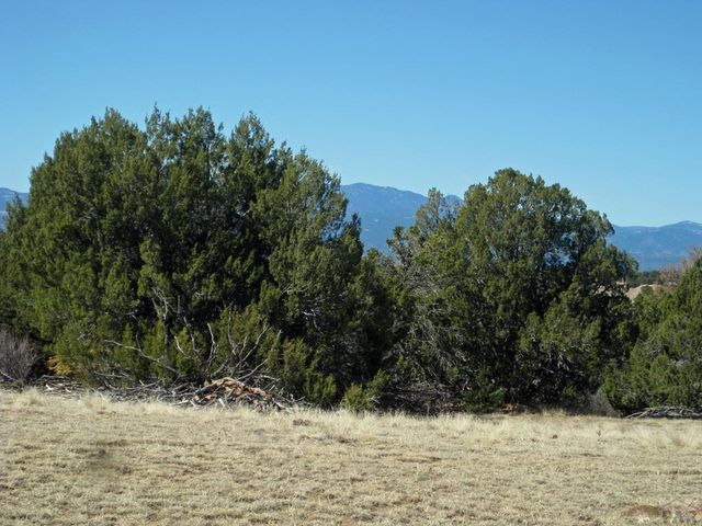 Par 78 Willow Spring Dr, Pueblo, CO 81004