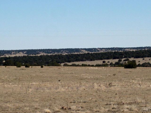 Par 78 Willow Spring Dr, Pueblo, CO 81004