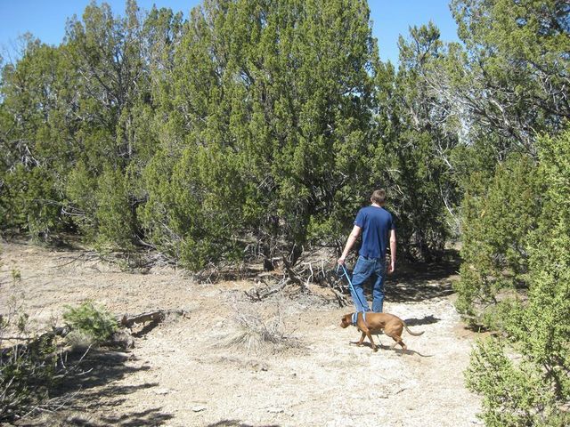 Par 78 Willow Spring Dr, Pueblo, CO 81004