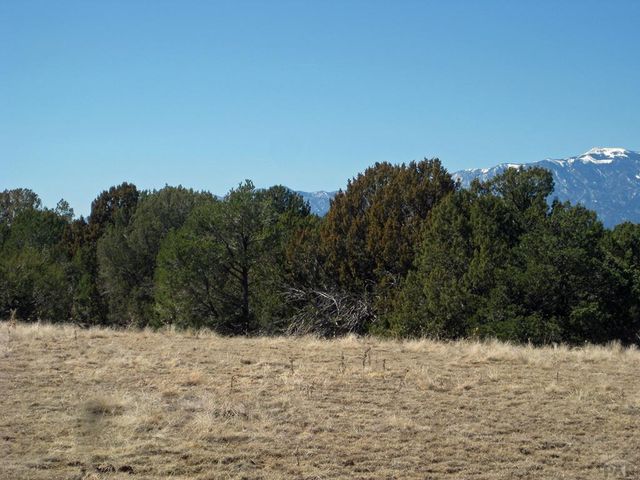 Par 78 Willow Spring Dr, Pueblo, CO 81004