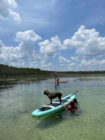 9050 SE 196TH TERRACE, Ocklawaha, FL 32179