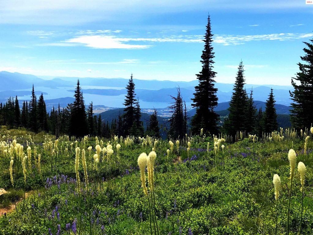 5 Crystal Springs Road, Sandpoint, ID 83864 photo 60