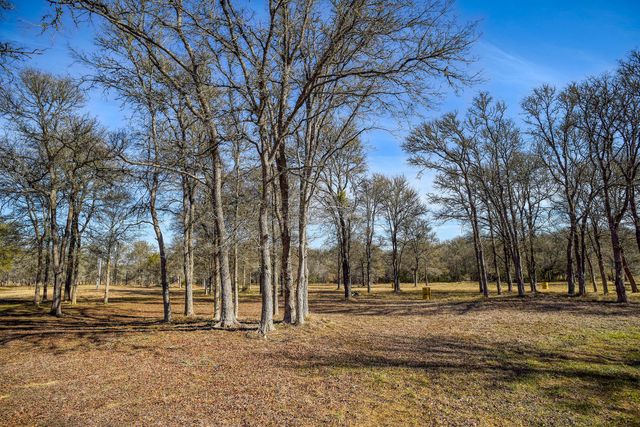 1675 Watterson RD, Red Rock, TX 78662