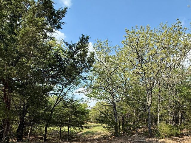 41.72 acres Brumelow Road, Whitesboro, TX 76273