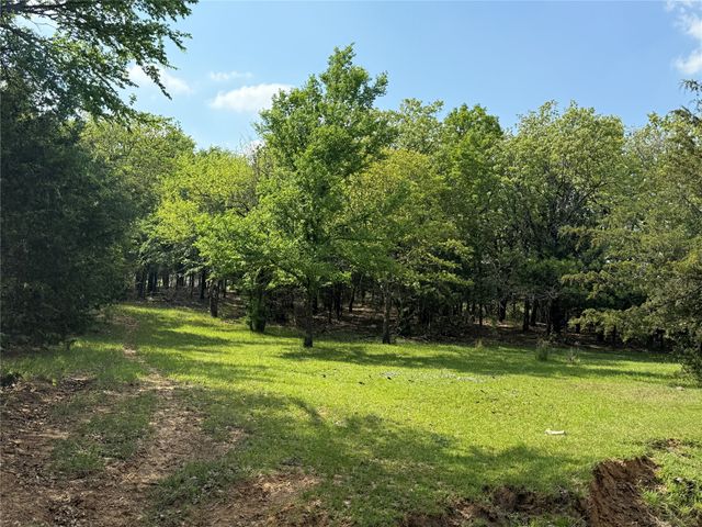 41.72 acres Brumelow Road, Whitesboro, TX 76273