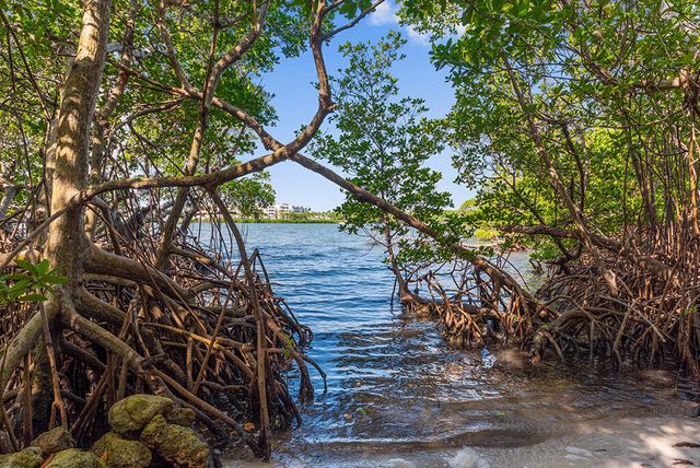 23 NE Macarthur Boulevard, Stuart, FL 34996