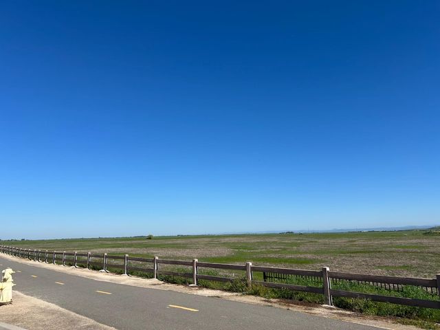 1425 Wadsworth Cir, Roseville, CA 95747