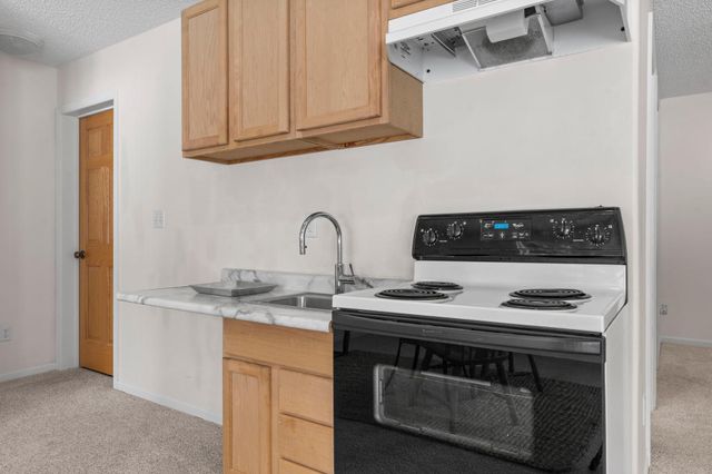 2251 132nd Court NE, Blaine, MN 55449