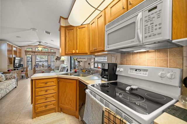 14370 NE 251ST CIRCLE, Salt Springs, FL 32134