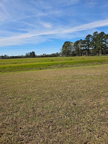 173 River Birch Dr., Loris, SC 29569