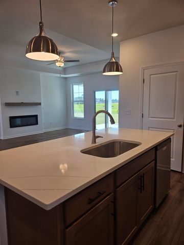 173 River Birch Dr., Loris, SC 29569