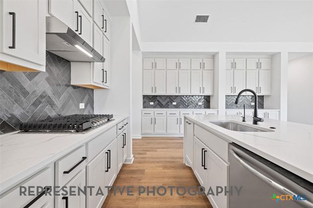503 Outrider Court, Liberty Hill, TX 78642