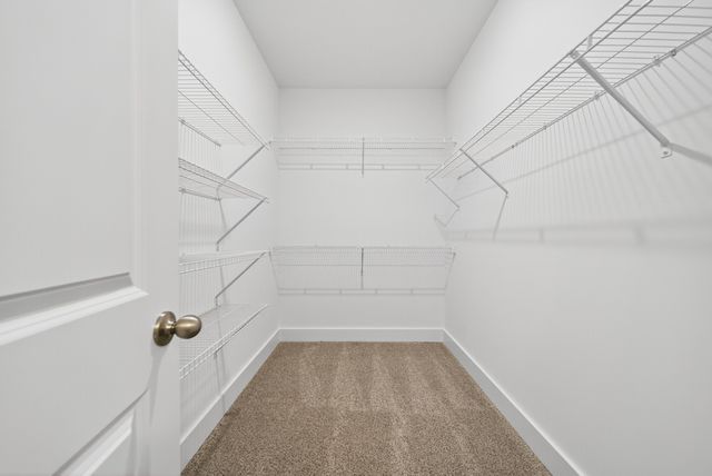 3916 Trinity Woods Rd, Columbia, TN 38401