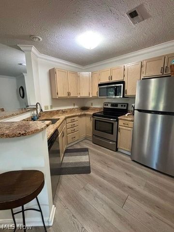1411 Buckingham Gate Boulevard, Cuyahoga Falls, OH 44221