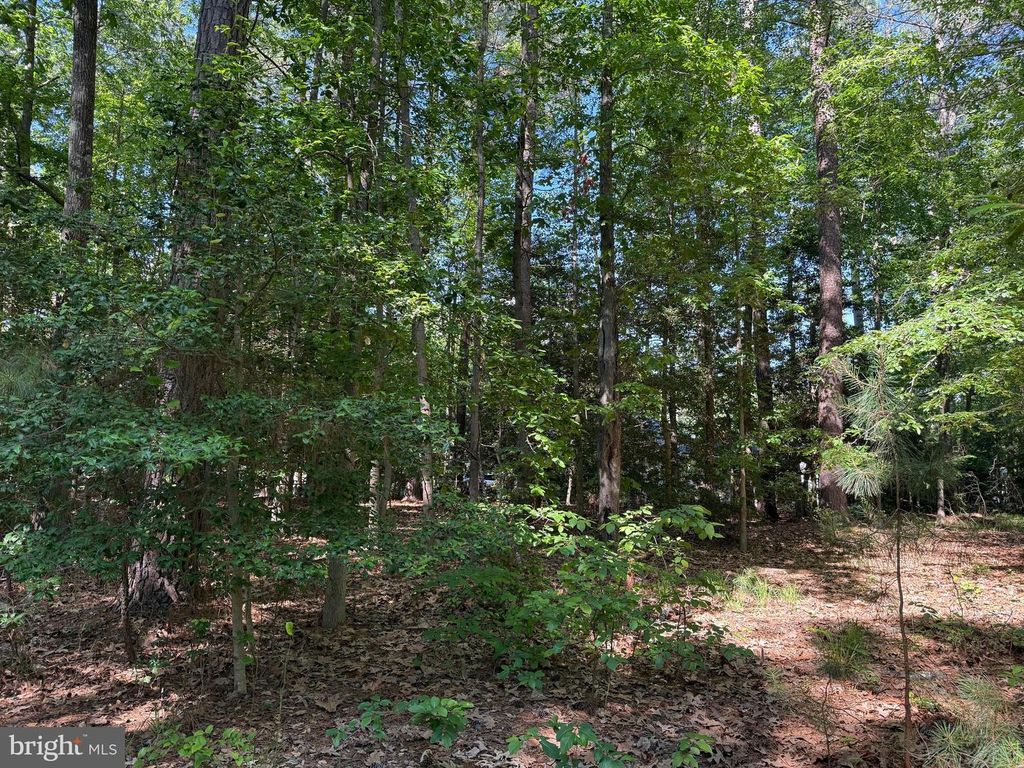 11822 WOLLASTON CIR, Issue, MD 20645