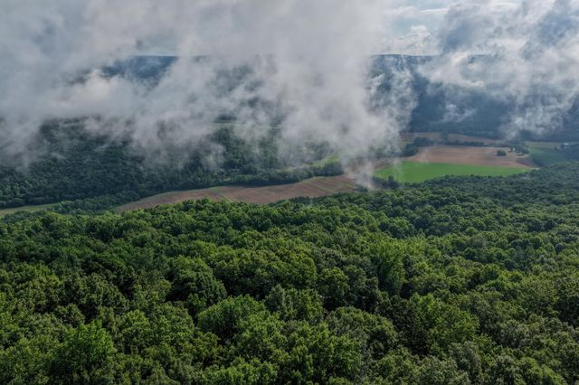 3850 Stagecoach Road, South Pittsburg, TN 37380