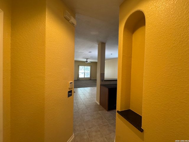 6030 Pecan Tree, San Antonio, TX 78240