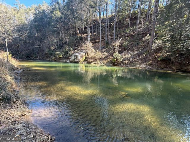 1281 High River Crossing, Ellijay, GA 30540