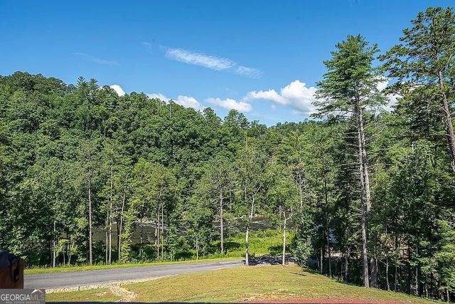 1281 High River Crossing, Ellijay, GA 30540