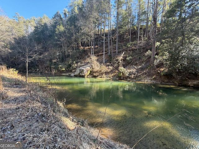 1281 High River Crossing, Ellijay, GA 30540