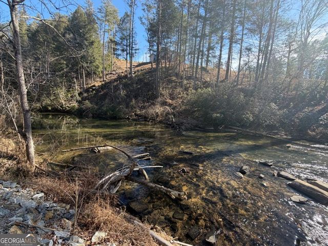 1281 High River Crossing, Ellijay, GA 30540