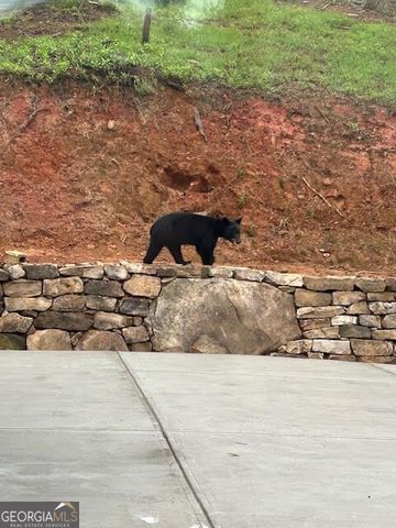 1281 High River Crossing, Ellijay, GA 30540