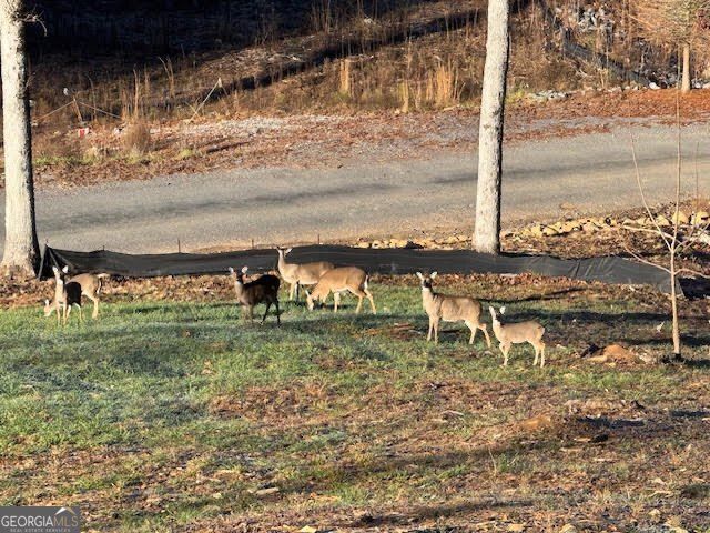 1281 High River Crossing, Ellijay, GA 30540