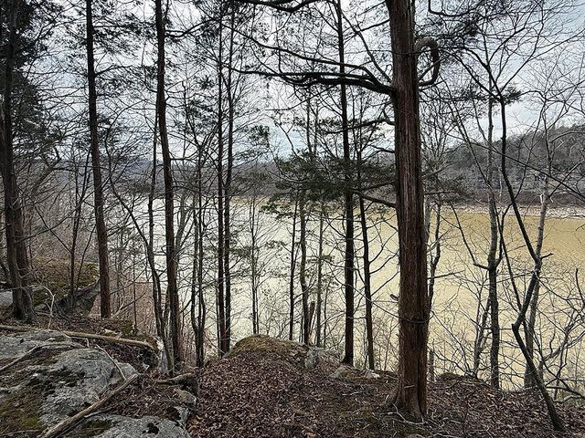 65 S Lake Drive, Burnside, KY 42519