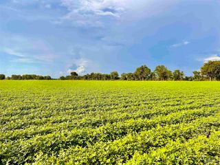 3500 Hwy 182 7414 Wendt Farm Rd(next to 7410 Wendt Rd) Parcel B, Jay, FL 32565