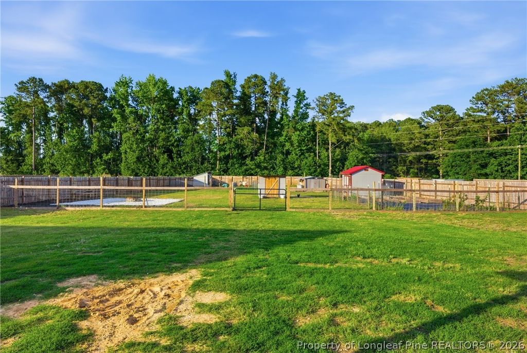 49 Alfalfa Drive, Parkton, NC 28371 — photo 35