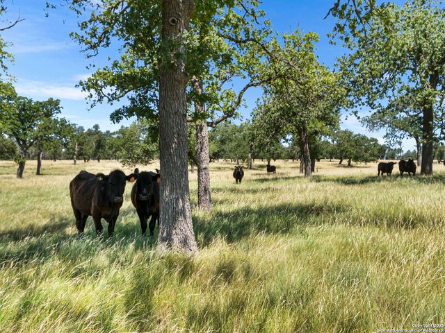 4369 Reeh Weinheimer, Fredericksburg, TX 78624