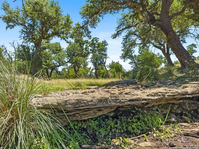 4369 Reeh Weinheimer, Fredericksburg, TX 78624