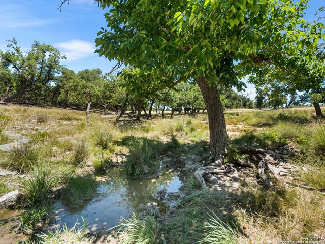 4369 Reeh Weinheimer, Fredericksburg, TX 78624