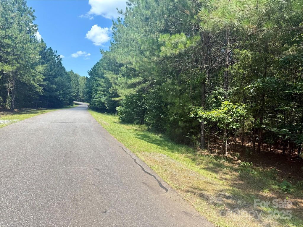 Lot 262 Cross Creek Drive, Rutherfordton, NC 28139