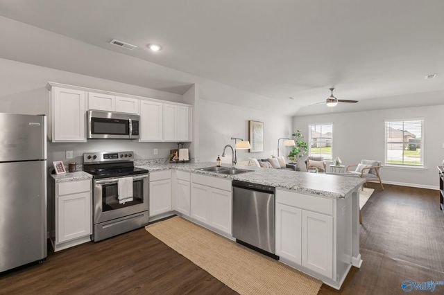 113 Broughton Street, Madison, AL 35756