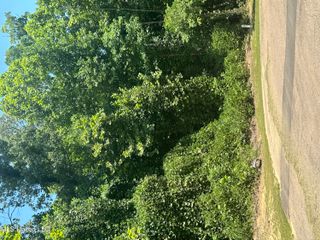 7142 Soaring Oaks Cove, Walls, MS 38680