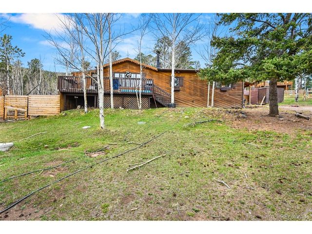 312 S Pine Dr, Bailey, CO 80421