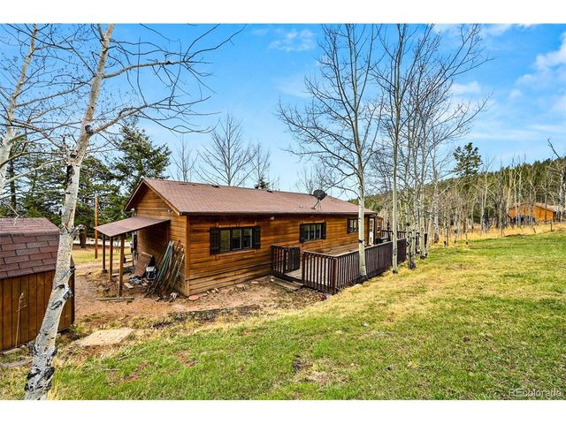 312 S Pine Dr, Bailey, CO 80421