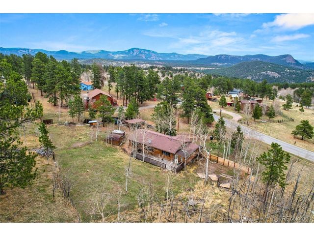 312 S Pine Dr, Bailey, CO 80421