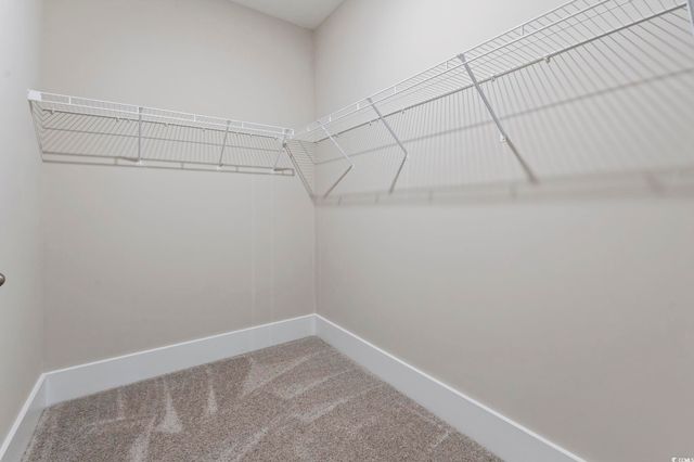 3139 Tiger Tail Rd., Conway, SC 29526