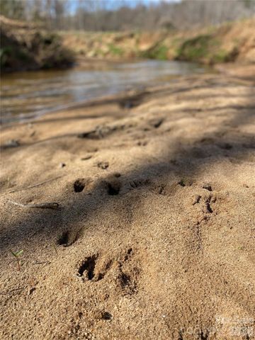 0 Coxe Road, Rutherfordton, NC 28139