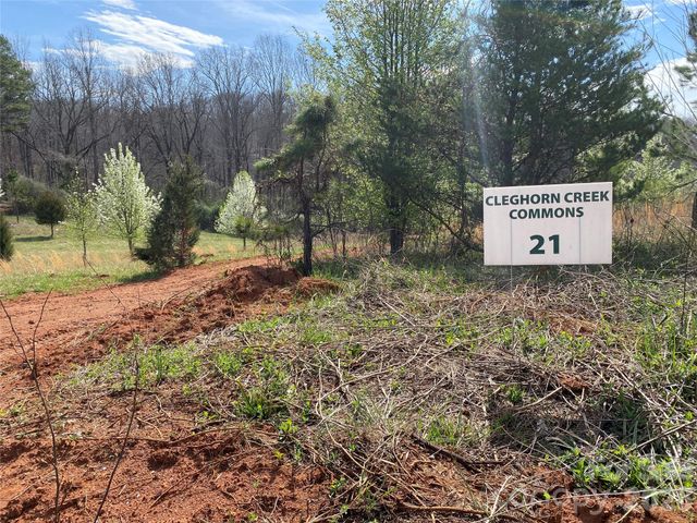 0 Coxe Road, Rutherfordton, NC 28139