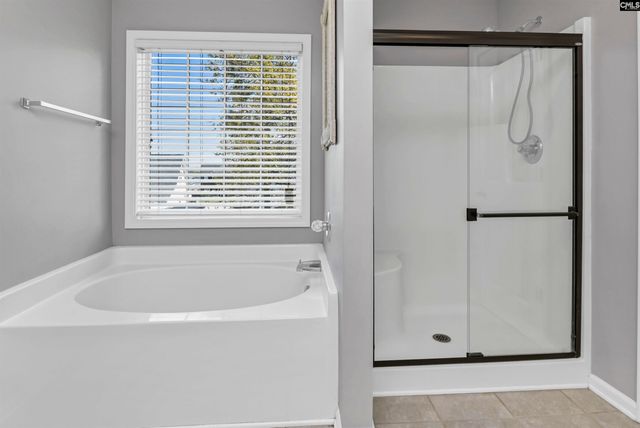 109 White Birch Court, Lexington, SC 29073